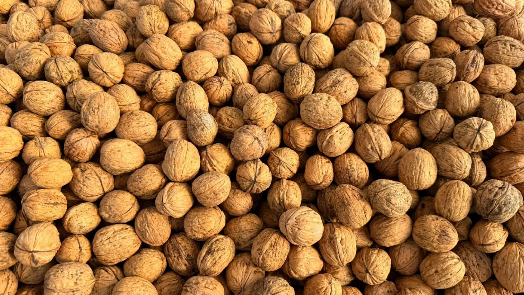 Üreticiden tüketiciye: Fethiye Cuma Pazarı'nda ceviz satışı