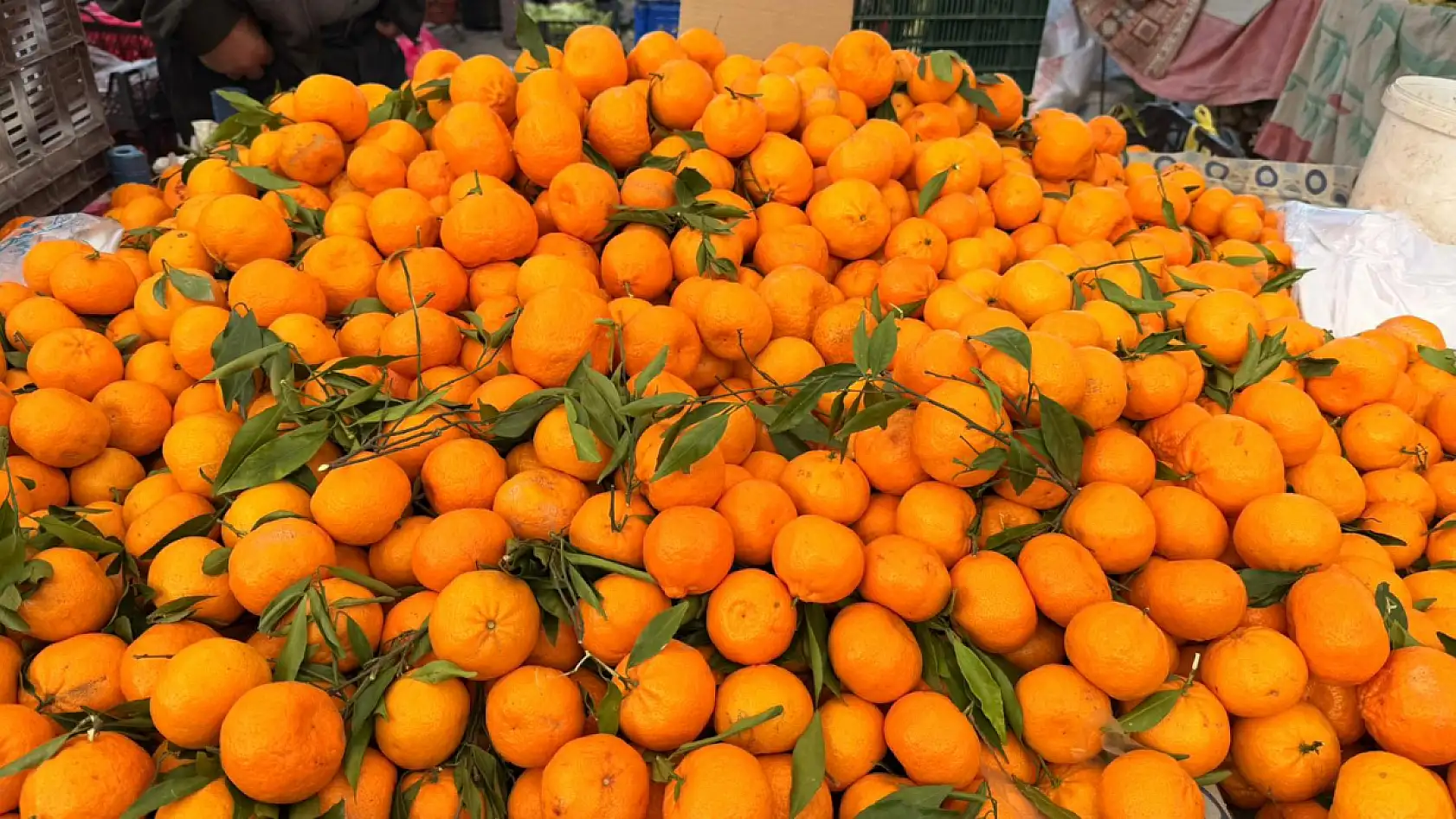 Fethiye Cuma Pazarı'nda meyve ve sebze fiyatları