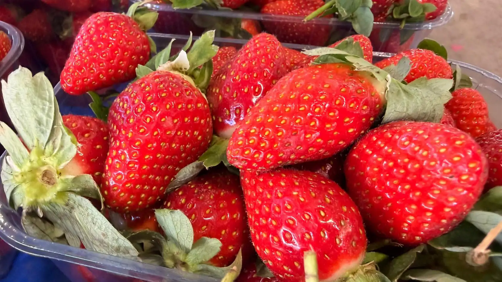 Fethiye'de çileğin tadına bakmak lüks oldu