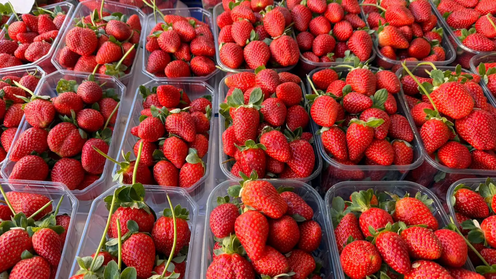 Fethiye'de çileğin tadına bakmak lüks oldu