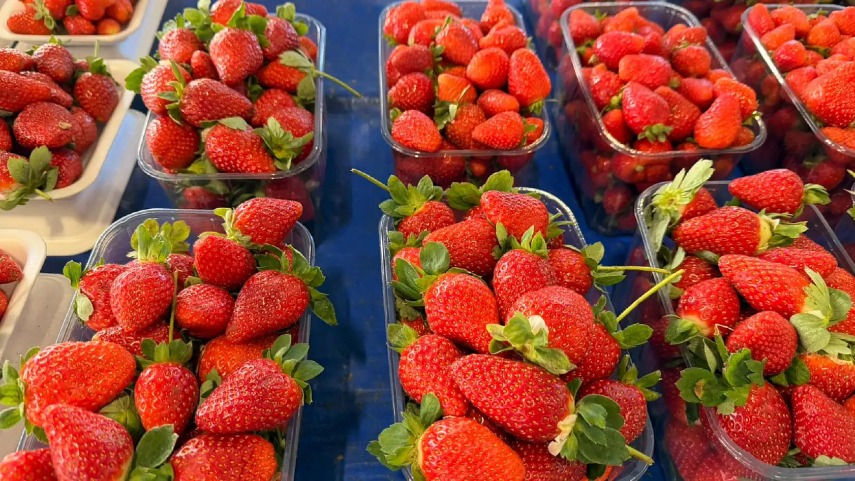 Fethiye'de çileğin tadına bakmak lüks oldu