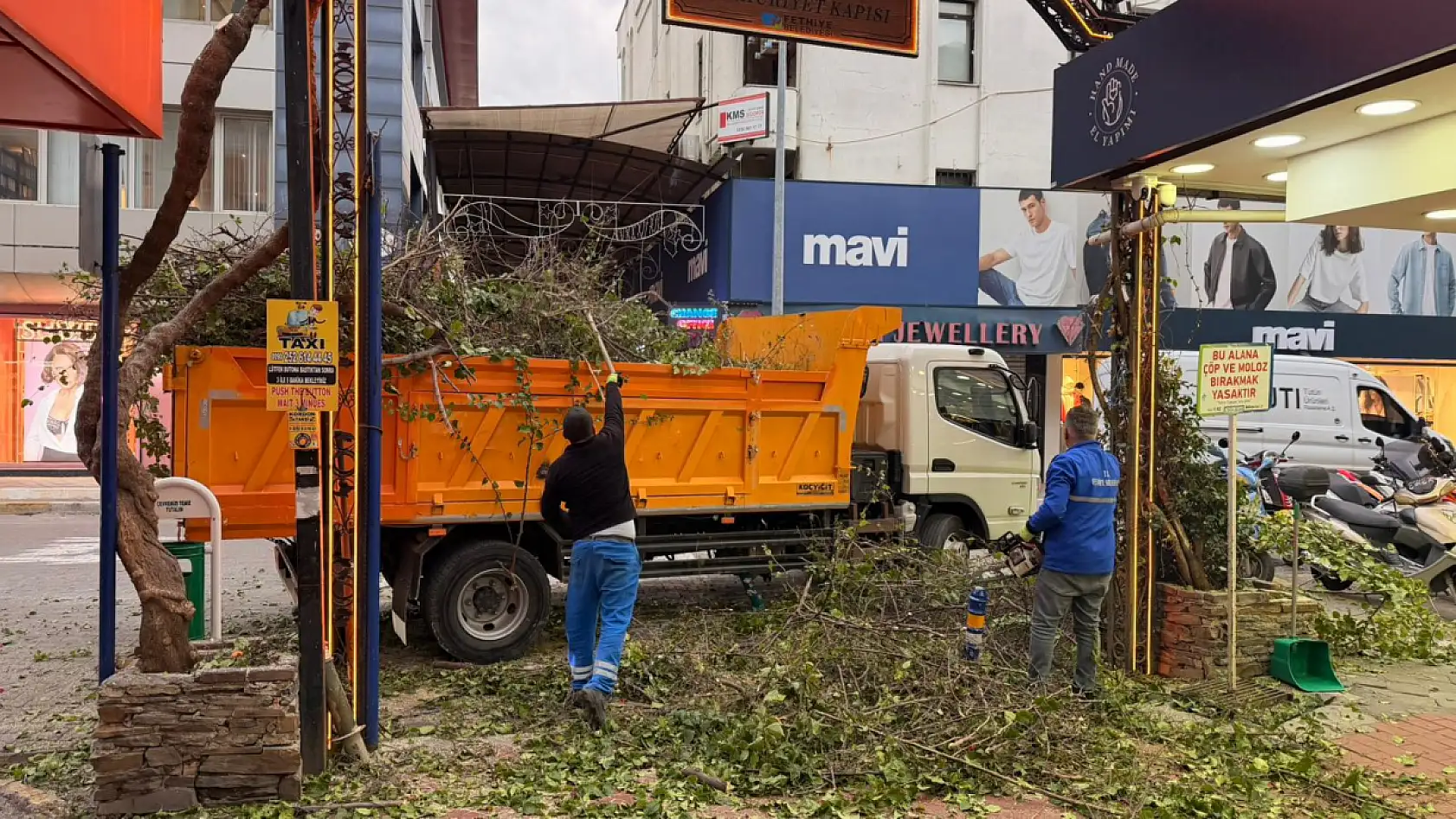 Fethiye Paspatur'da ağaçlarda budama çalışması