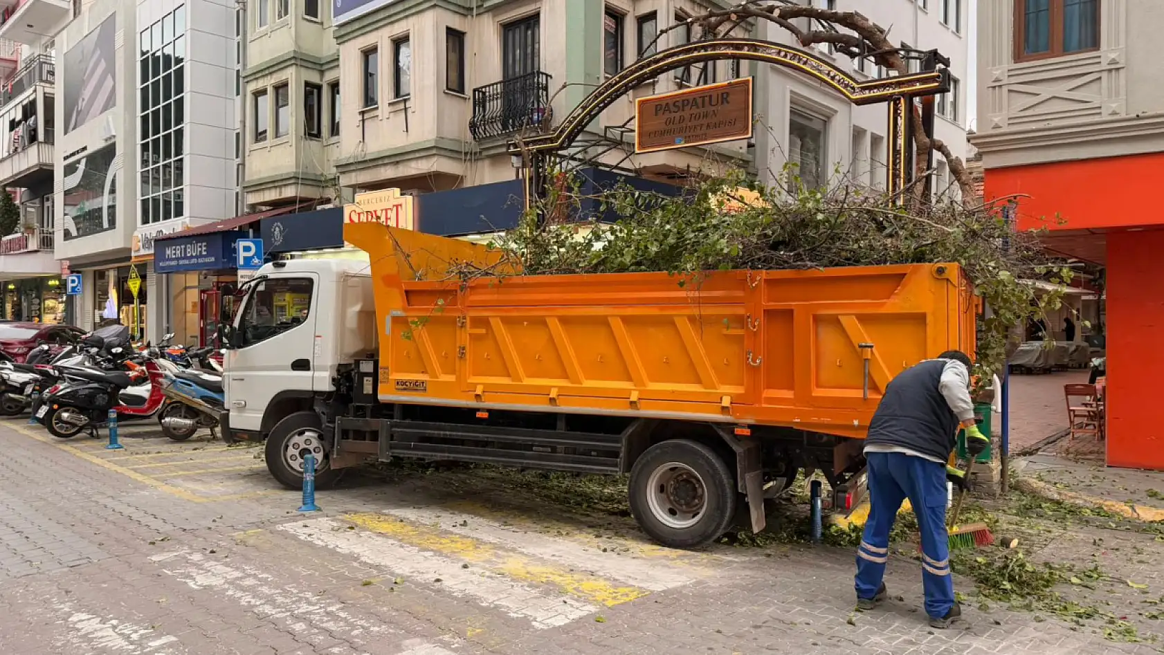 Fethiye Paspatur'da ağaçlarda budama çalışması