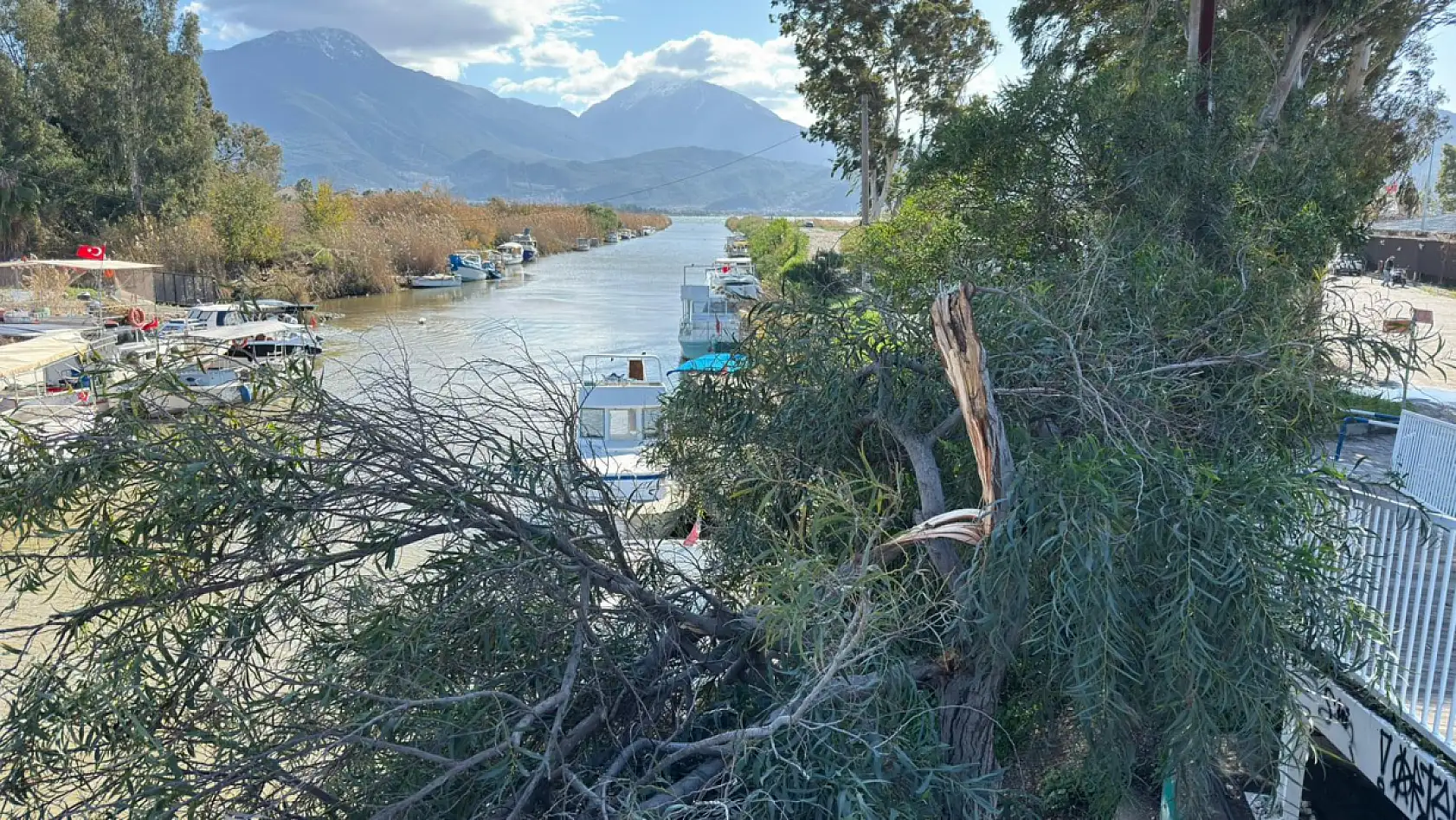 Fethiye'de fırtına etkili oldu: Çalış'ta tabelalar uçtu, ağaçlar kırıldı