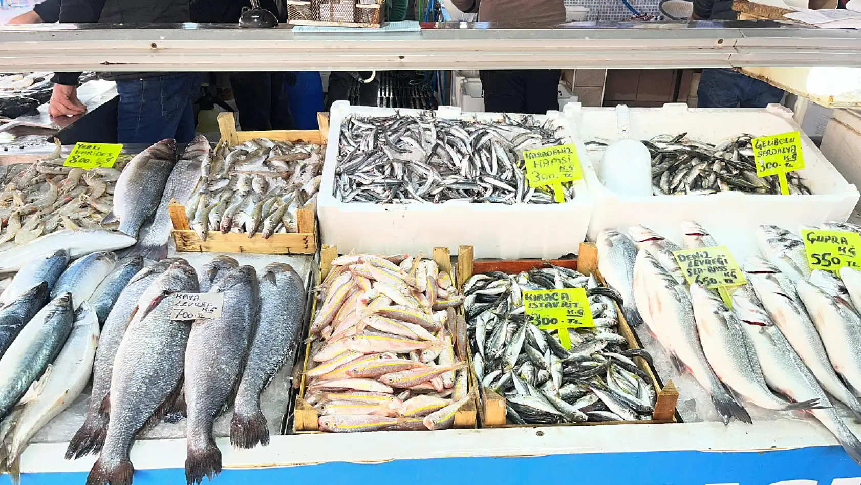 Fethiye Balık Pazarı'nın 40 yıllık esnafı Muzaffer Çavdar güncel fiyatları paylaştı