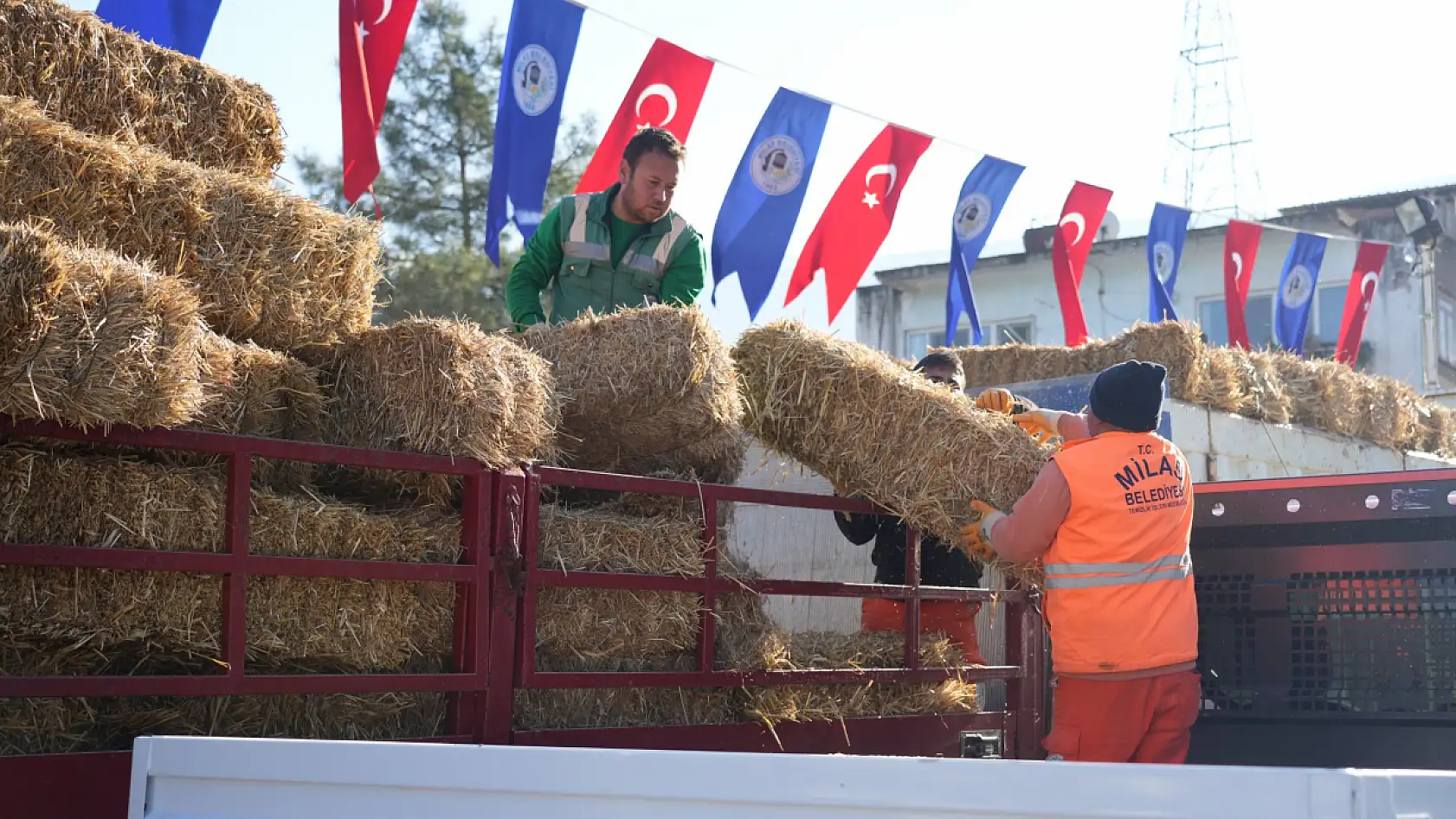 Milas Belediyesi'nden üreticiye yem ve saman desteği
