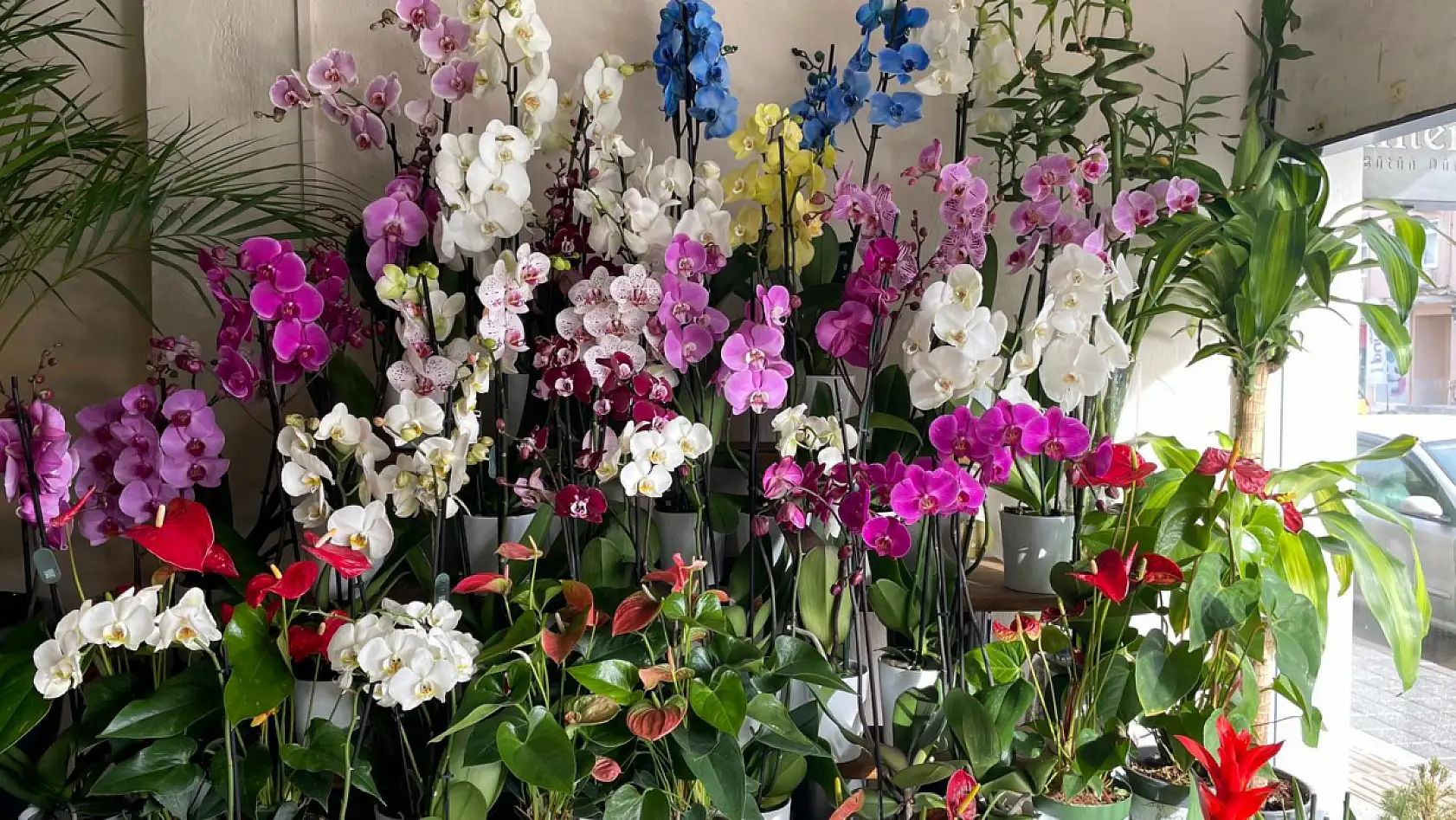 Fethiye'de çiçek trendlerinde bu yıl sadelik ön planda