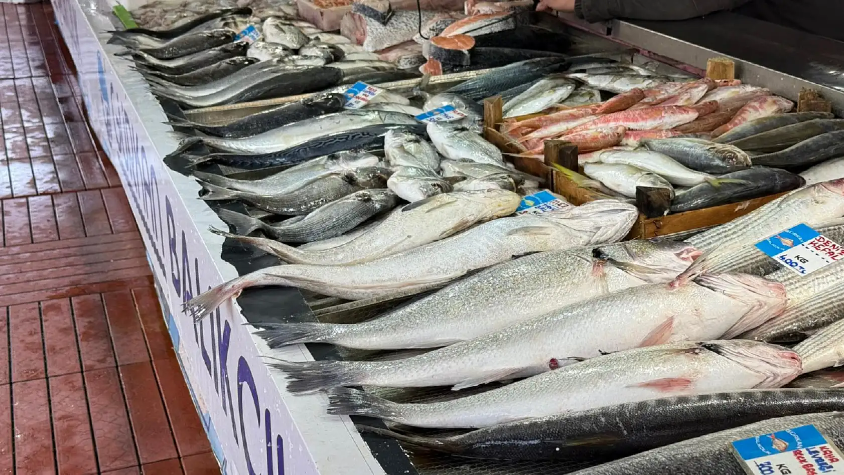 Fethiye Balık Pazarı'nda Güncel Balık Fiyatları Belli Oldu