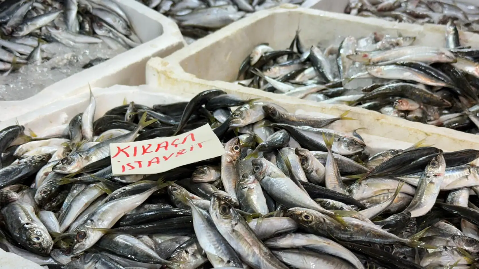 Fethiye Balık Pazarı'nda Güncel Balık Fiyatları Belli Oldu