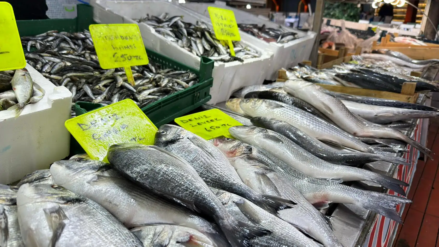 Fethiye Balık Pazarı'nda Güncel Balık Fiyatları Belli Oldu