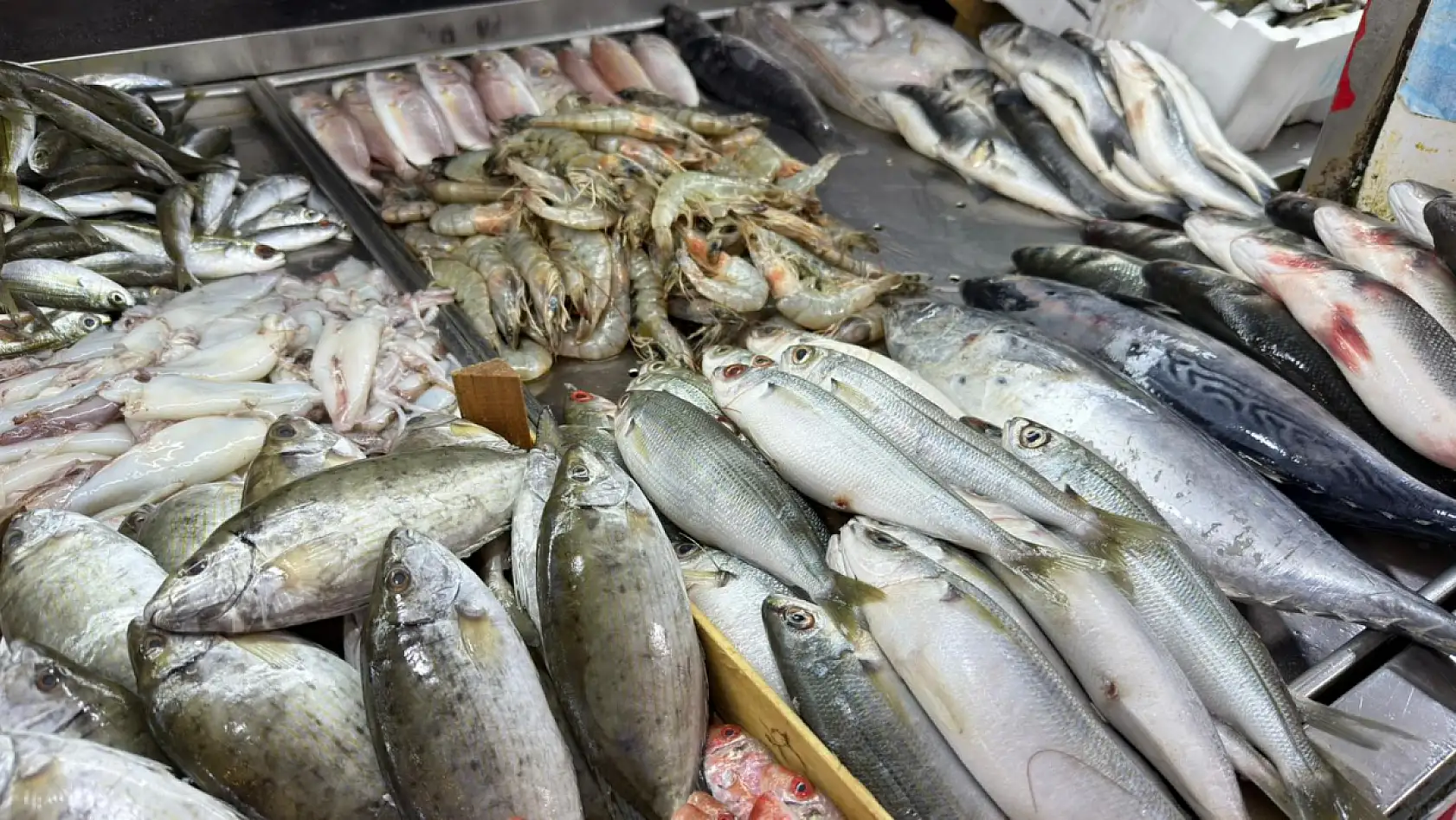 Fethiye Balık Pazarı'nda Güncel Balık Fiyatları Belli Oldu
