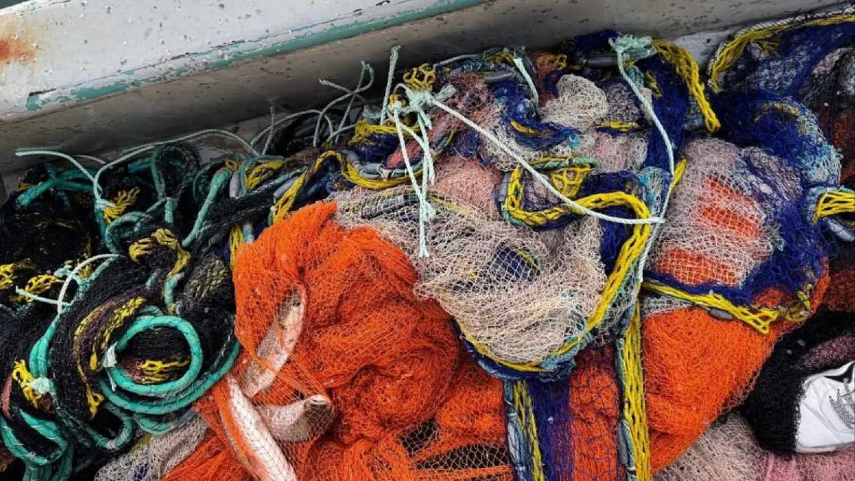 Yasak ağ ile avlanan balıklara el konuldu