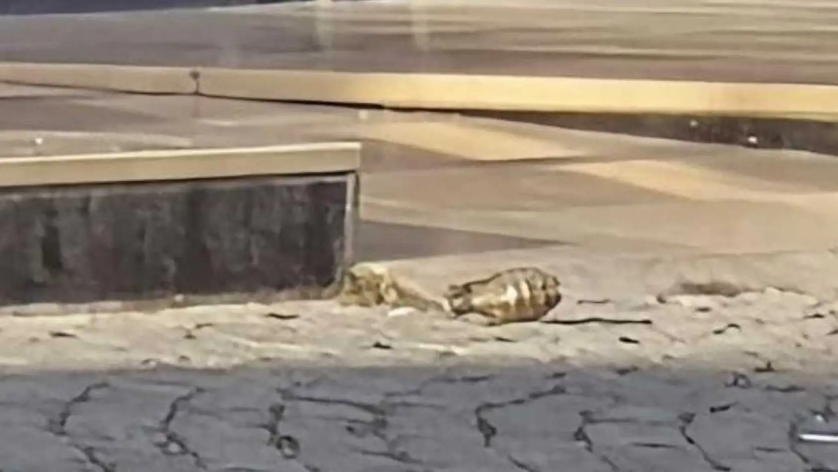 İstanbul'da otele el bombası atıldı