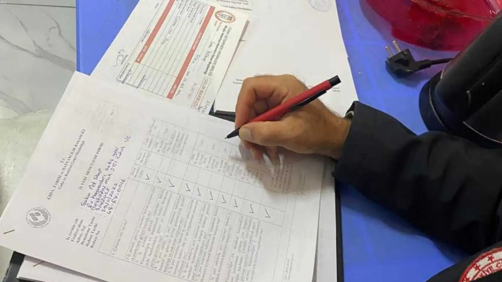 Ortaca'da ev ve süs hayvanı satış yerlerinden denetim