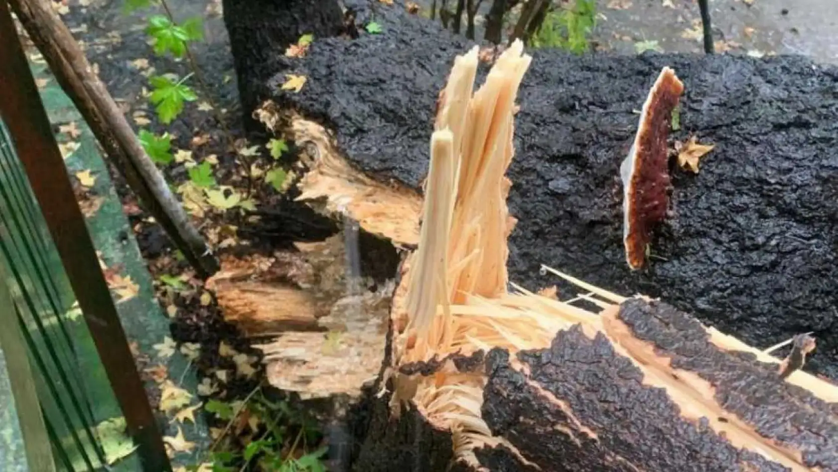 Köyceğiz'de fırtına ve sağanak yağış etkili oldu