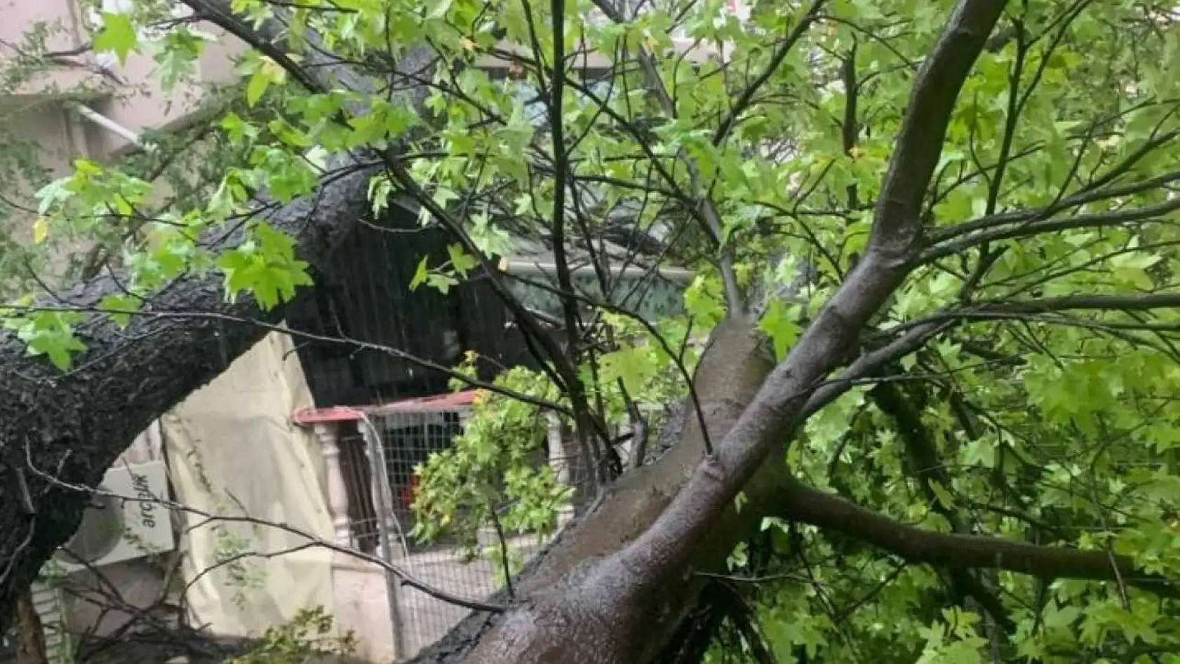 Köyceğiz'de fırtına ve sağanak yağış etkili oldu