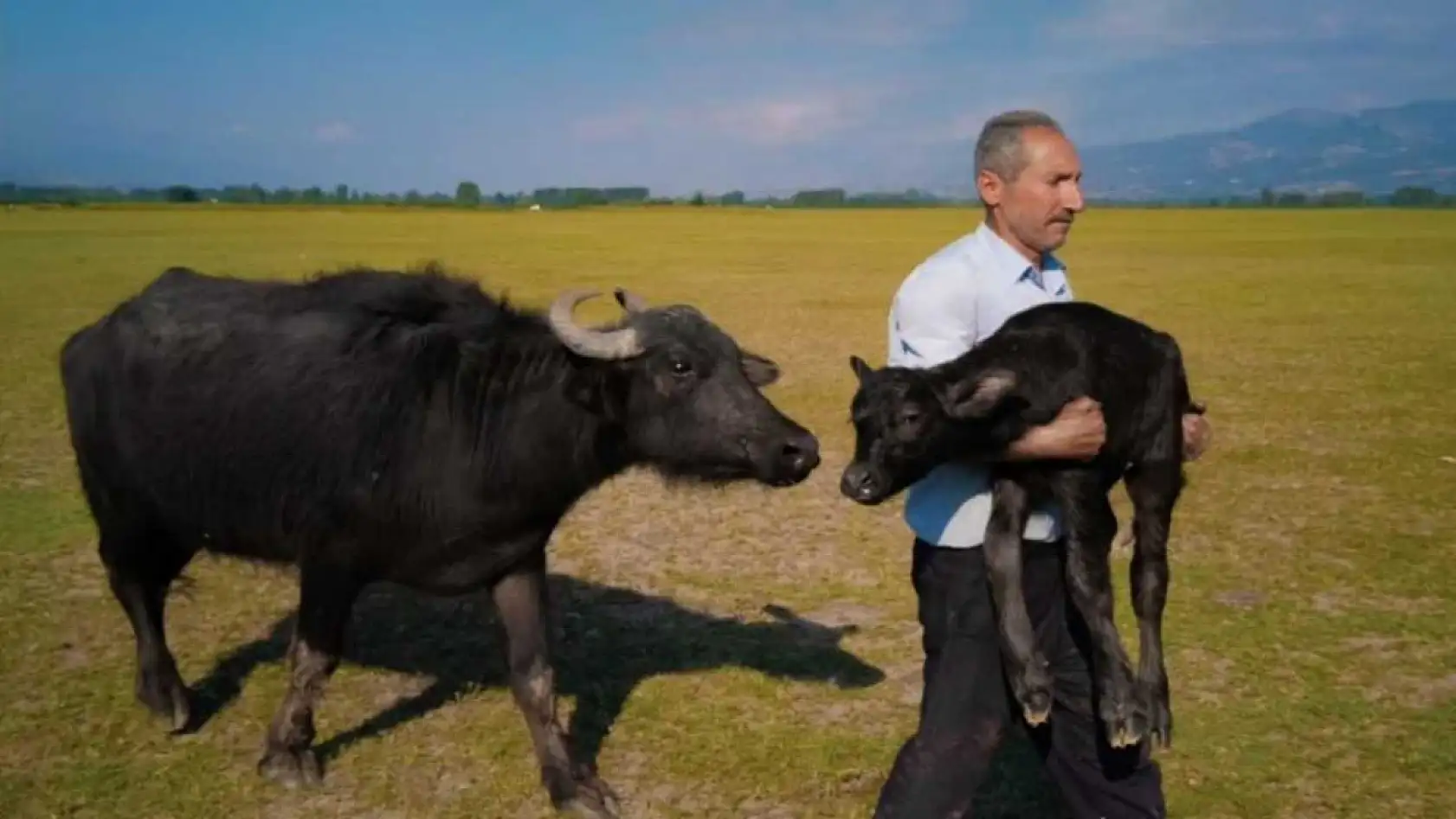 Fırın ustasının Paris'teki ödül sevinci vize engeline takıldı
