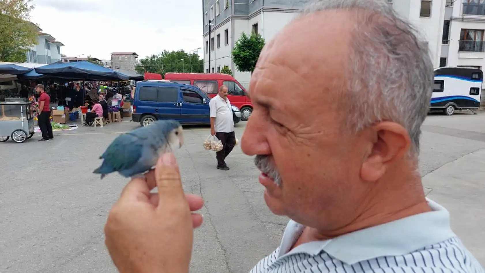 2 yıldır çarşı pazar omuzunda Sevda Papağanı ile geziyor
