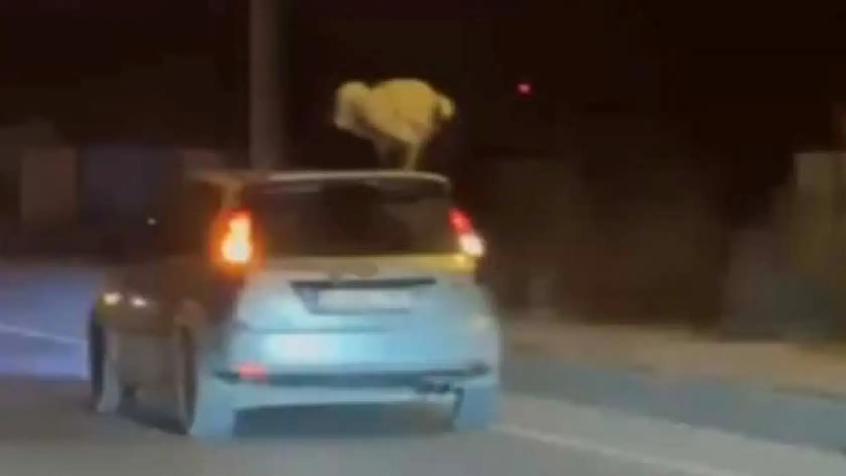 Akan trafikte aracın üzerine çıkıp dans etti