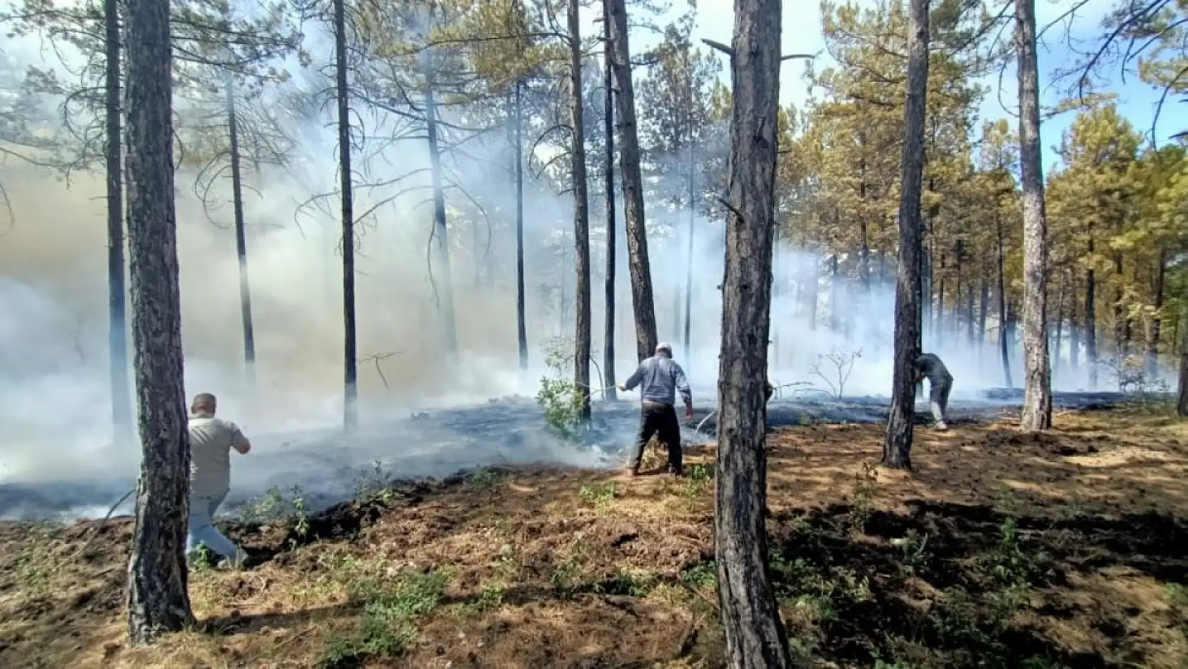 Denizli Honaz'da orman yangını