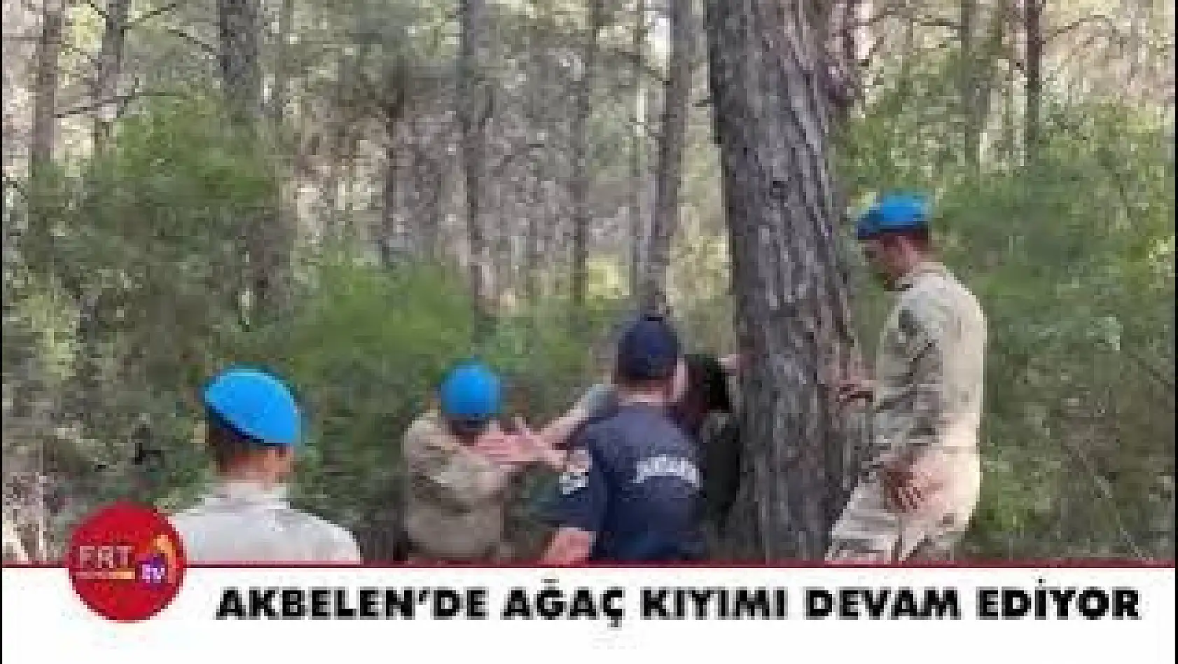 Akbelen'de Ağaç Kıyımı Devam Ediyor