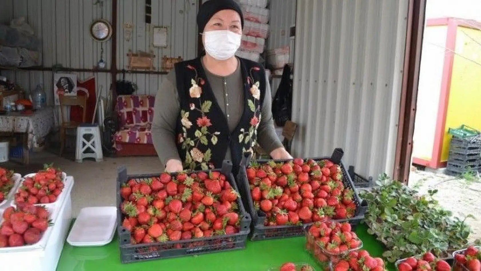 Çilek geçen yılın fiyatları ile satılıyor