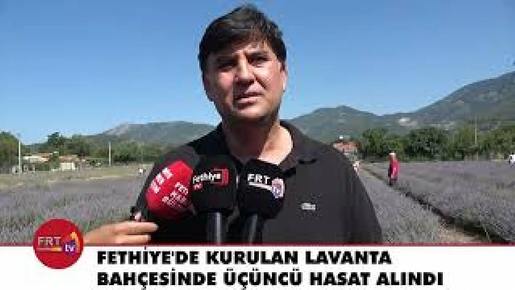 Fethiye'de Kurulan Lavanta Bahçesinde Üçüncü Hasat Alındı