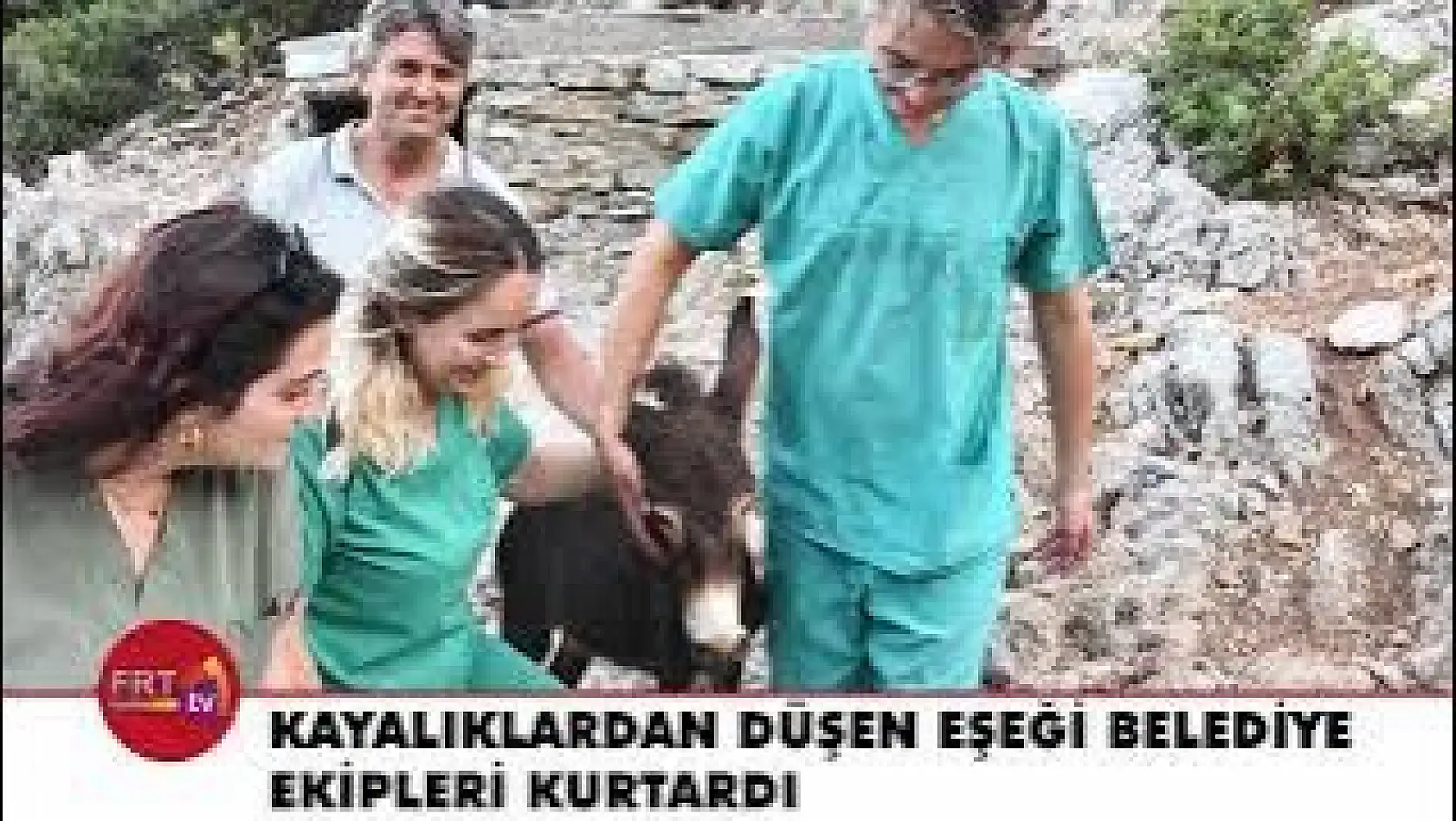 Kayalıklardan Düşen Eşeği Belediye Ekipleri Kurtardı