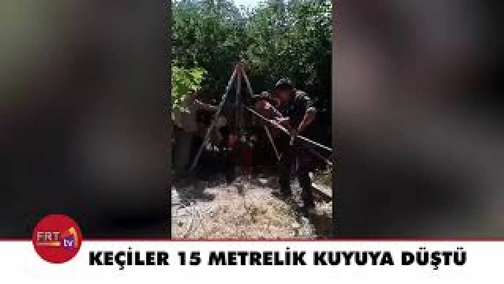 Keçiler 15 metrelik kuyuya düştü