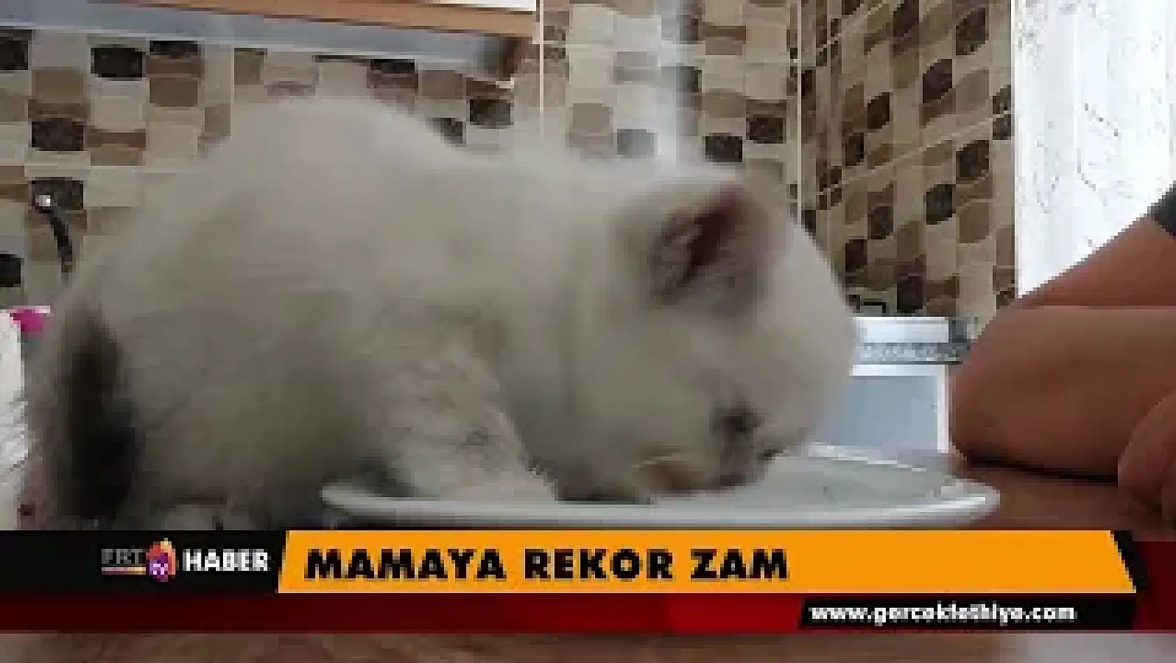 Mamaya rekor zam