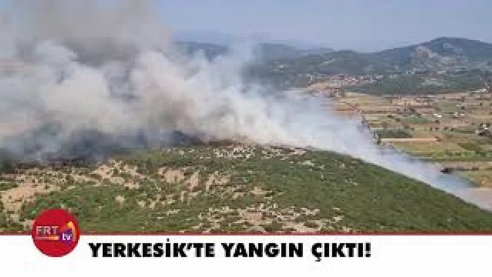 Muğla'da orman yangını