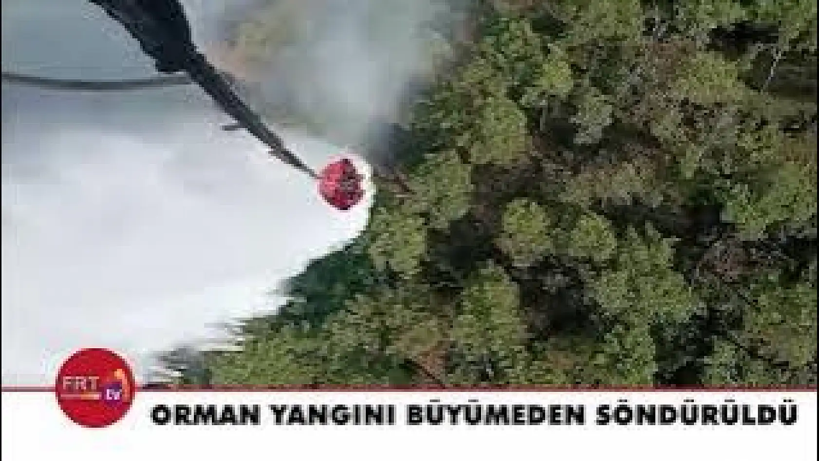Orman yangını büyümeden söndürüldü