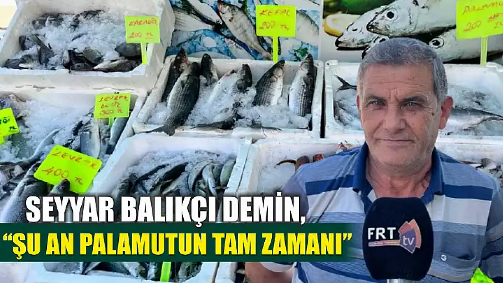 Seyyar Balıkçı Demin, 'Şu an Palamutun Tam Zamanı'