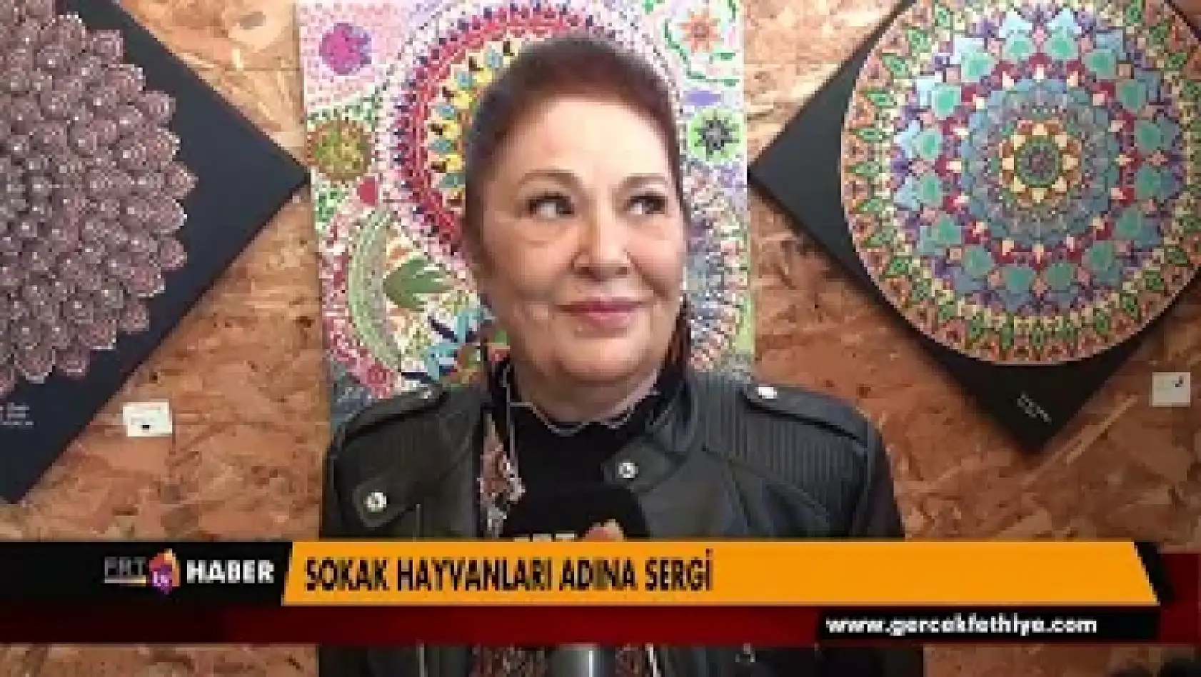 SOKAK HAYVANLARI ADINA SERGİ