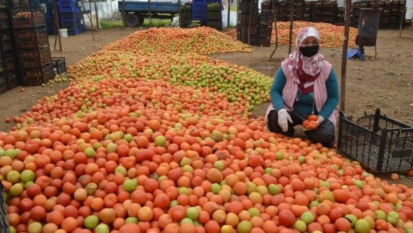 Üretici 'Girdilerdeki ÖTV kaldırılsın'