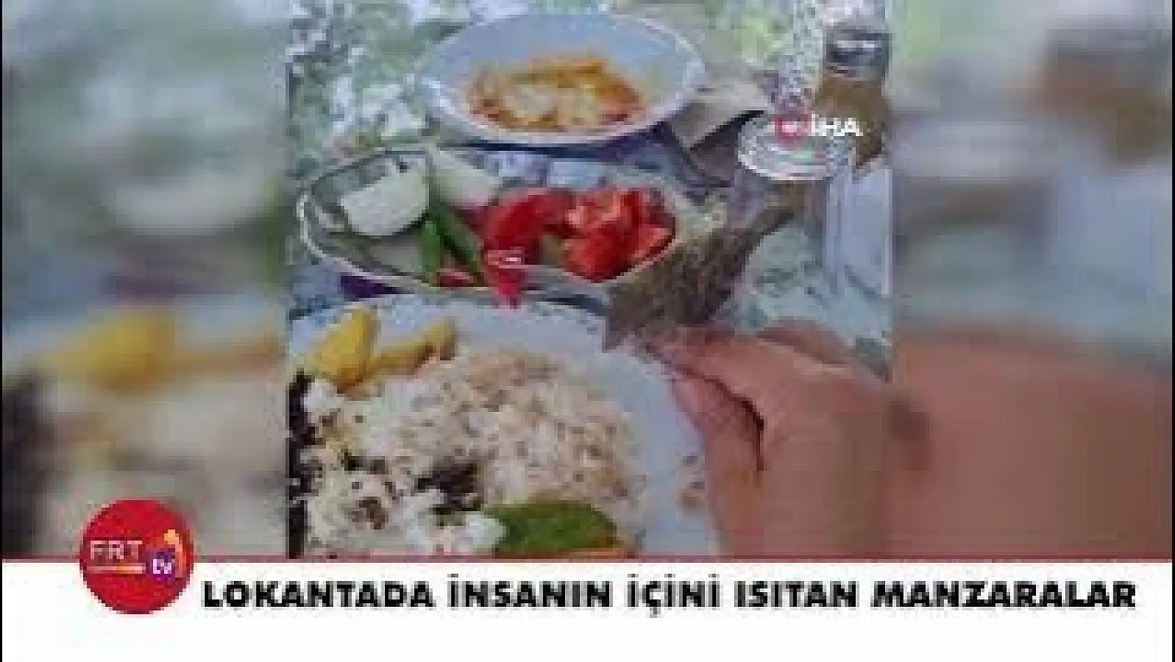 Yemeğini masasına gelen serçe ile birlikte yedi