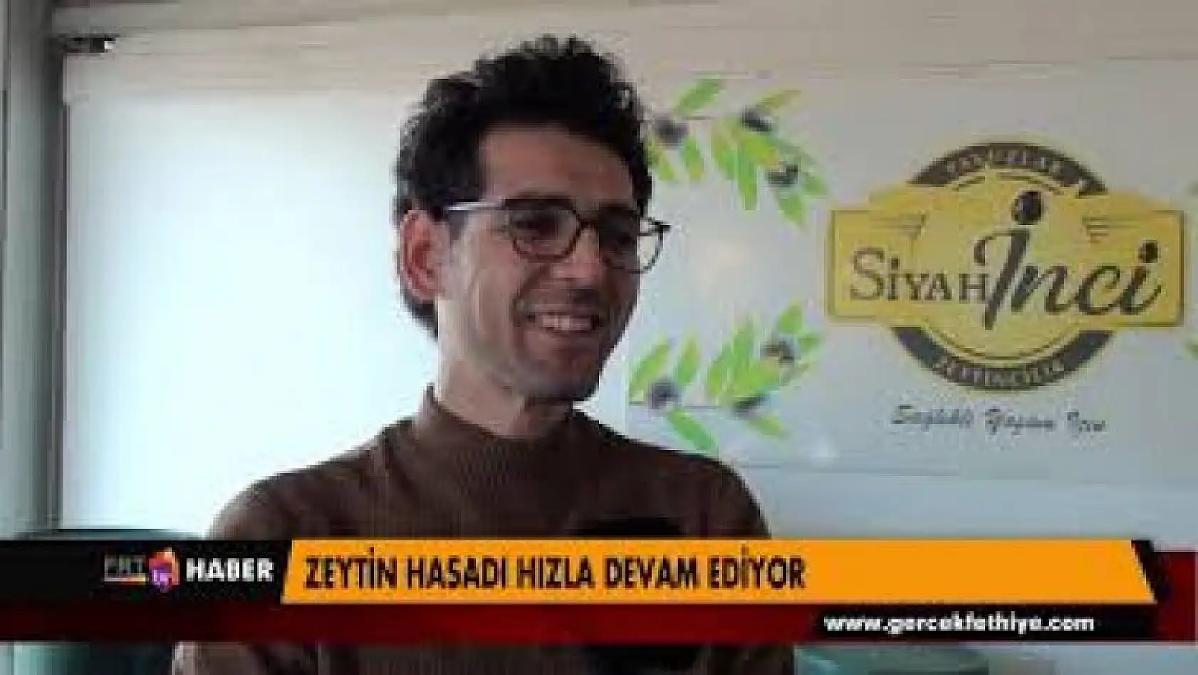 ZEYTİN HASADI HIZLA DEVAM EDİYOR