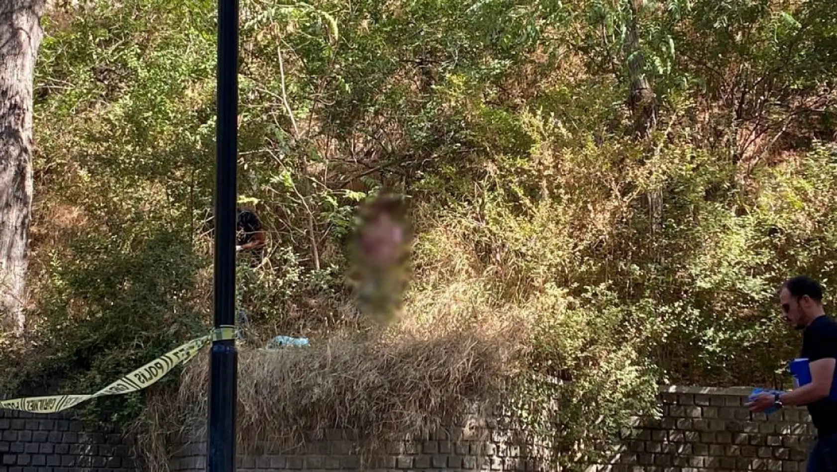 Kayıp olarak aranan kadın mesire alanında ölü bulundu