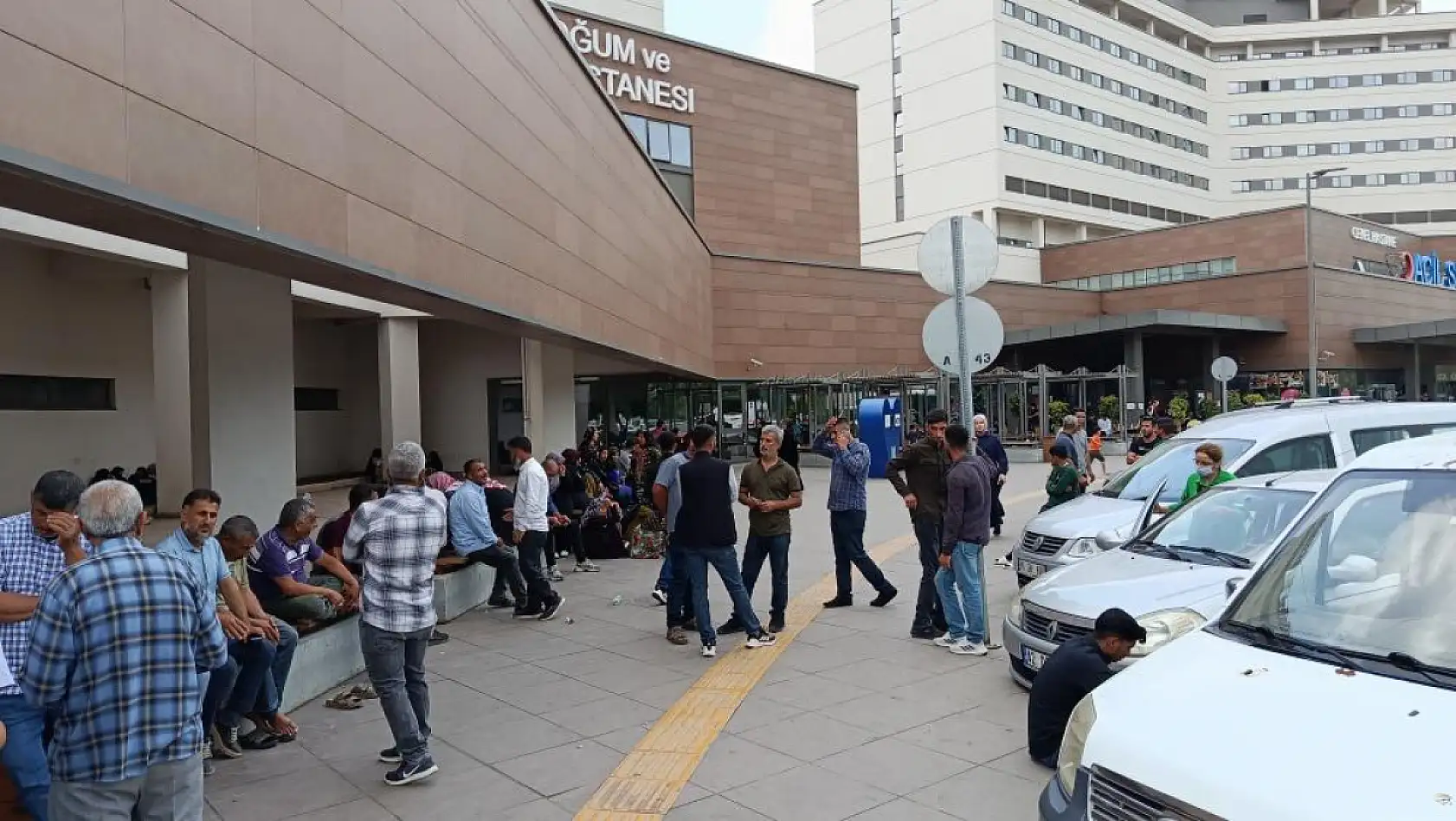 Kaza sonrası 8 ay bitkisel hayatta kalıp vefat etti 'Normal ölüm' raporu tutuldu