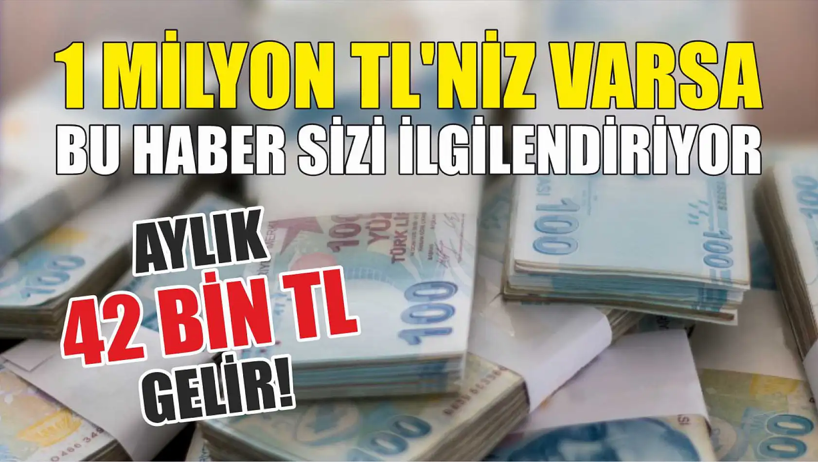 1 Milyon TL'niz varsa bu haber sizi ilgilendiriyor: Aylık 42 bin TL gelir!