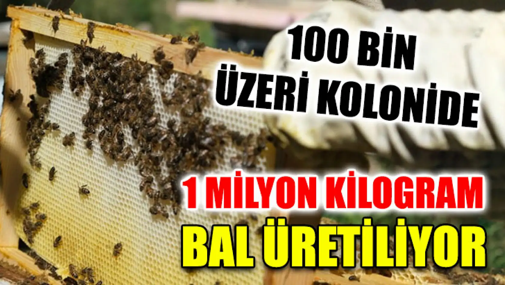 100 Bin Üzeri Kolonide 1 Milyon Kilogram Bal Üretiliyor