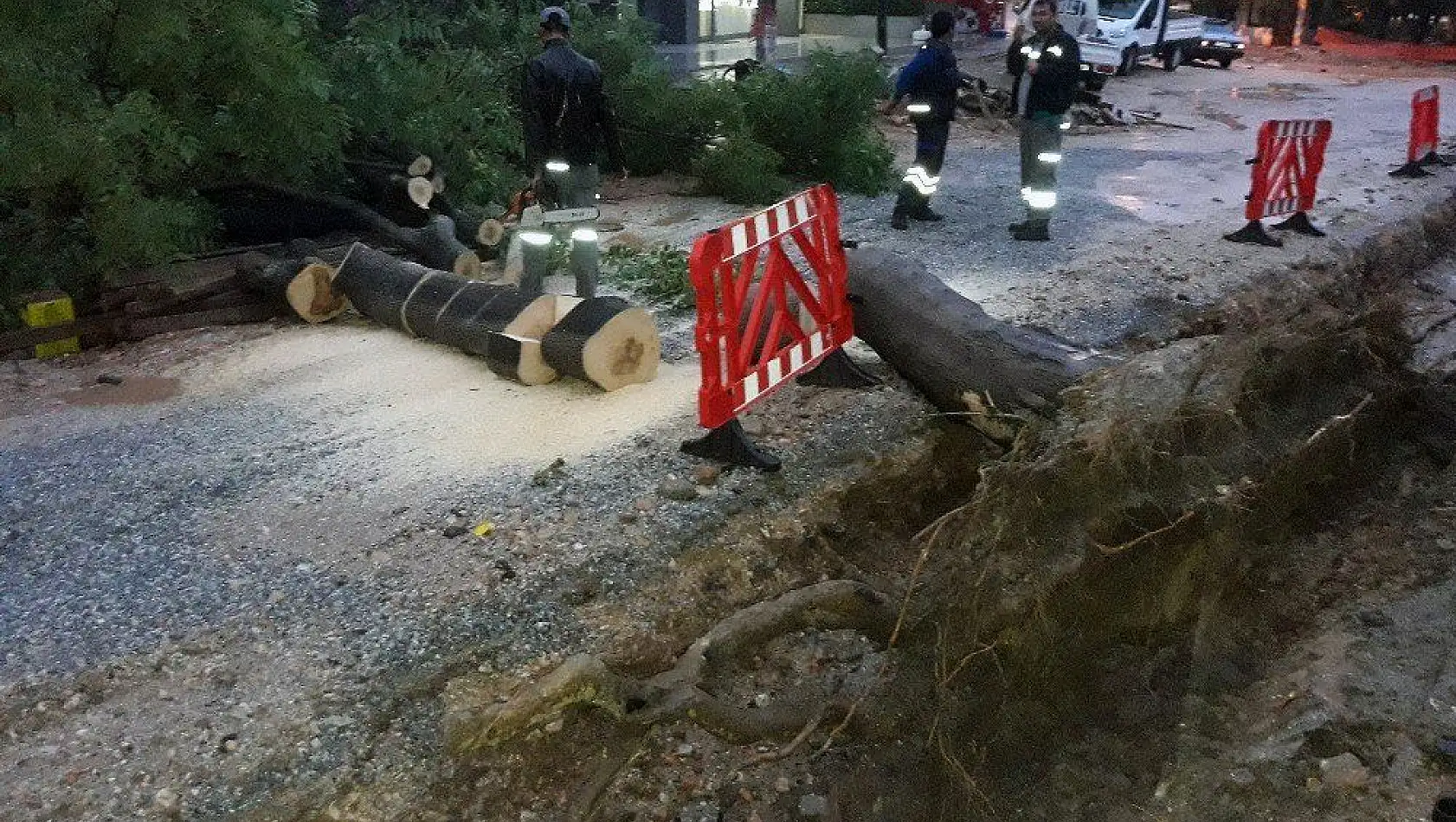 Muğla'da yağmur, su baskınlarına sebep oldu (video)