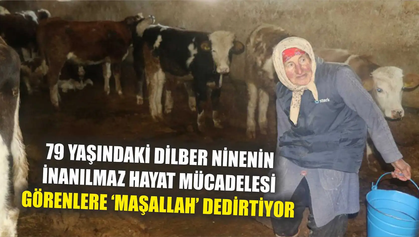 79 yaşındaki Dilber ninenin inanılmaz hayat mücadelesi görenlere 'maşallah' dedirtiyor