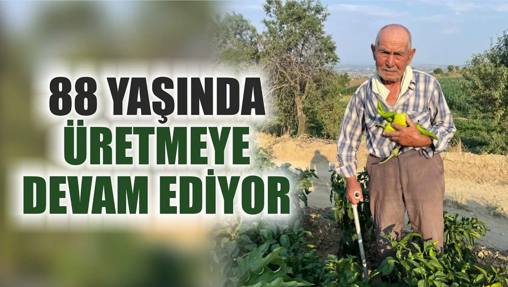 88 yaşında üretmeye devam ediyor