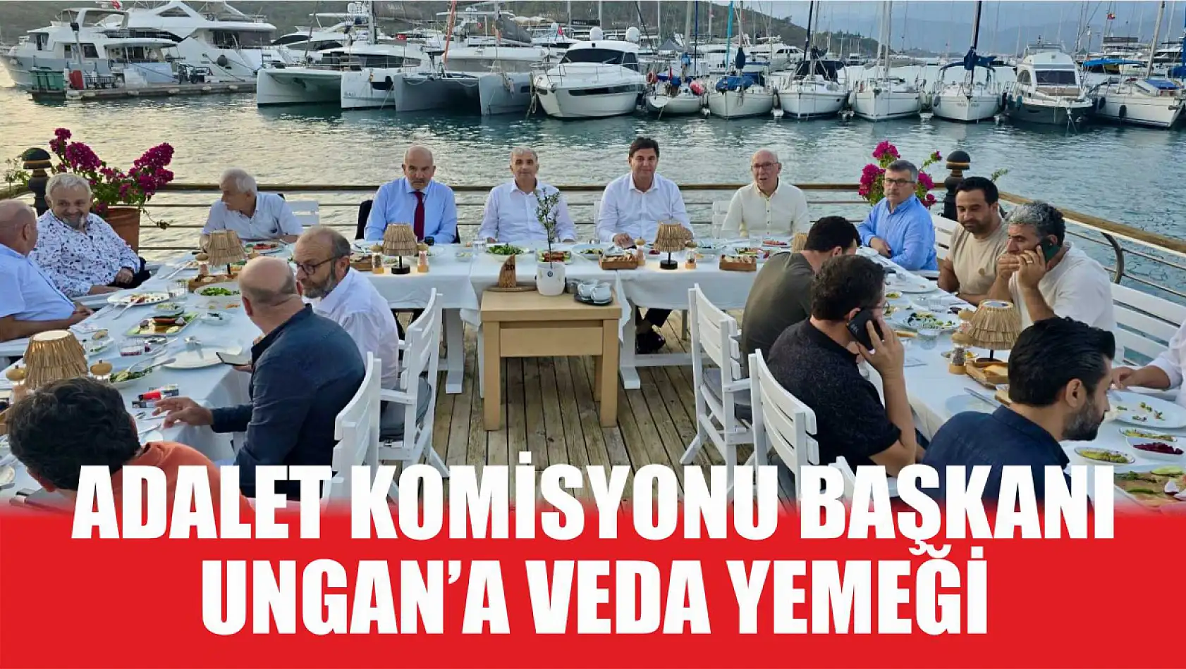 Adalet Komisyonu Başkanı Ungan'a veda yemeği