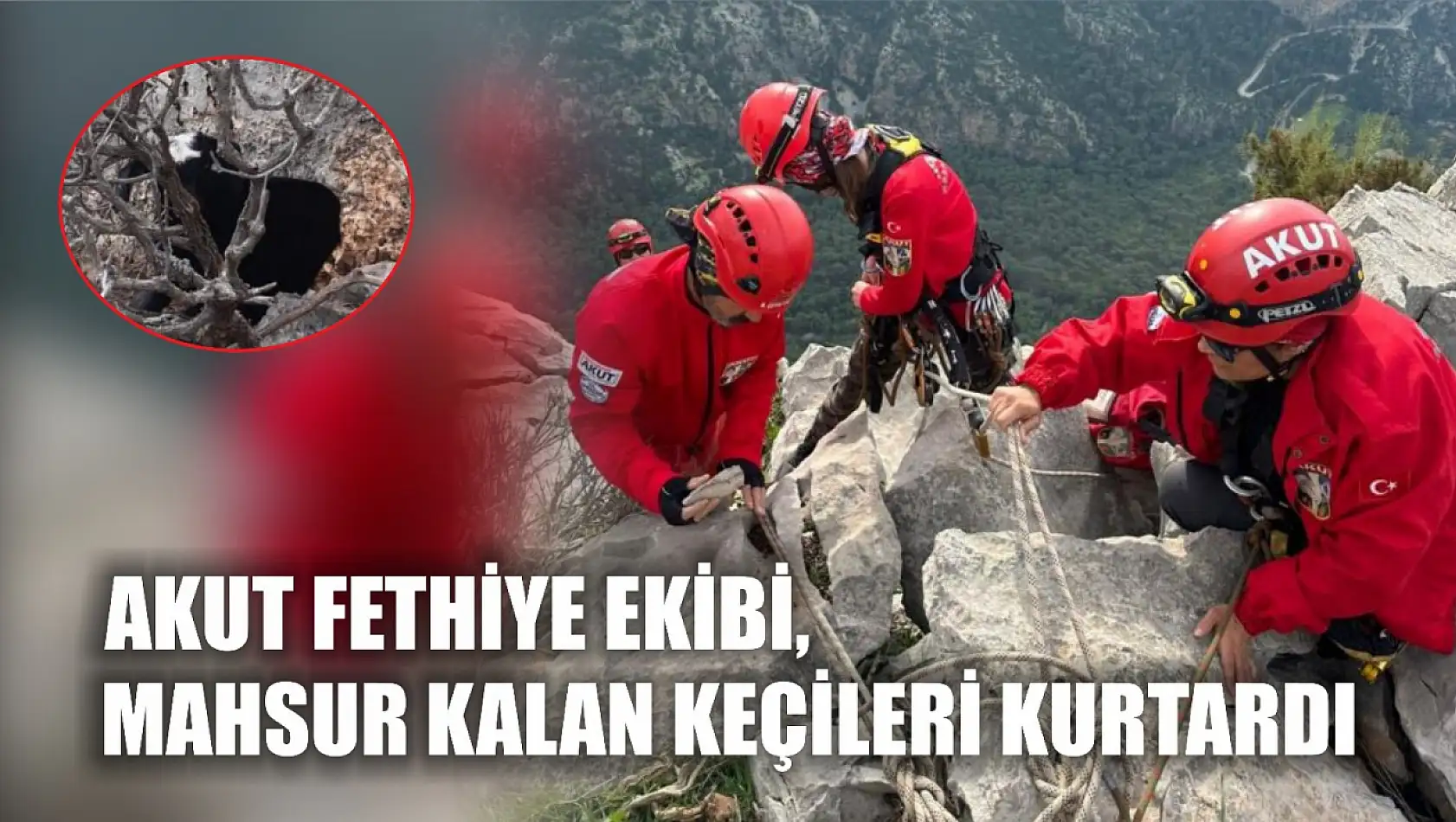 AKUT Fethiye ekibi, mahsur kalan keçileri kurtardı