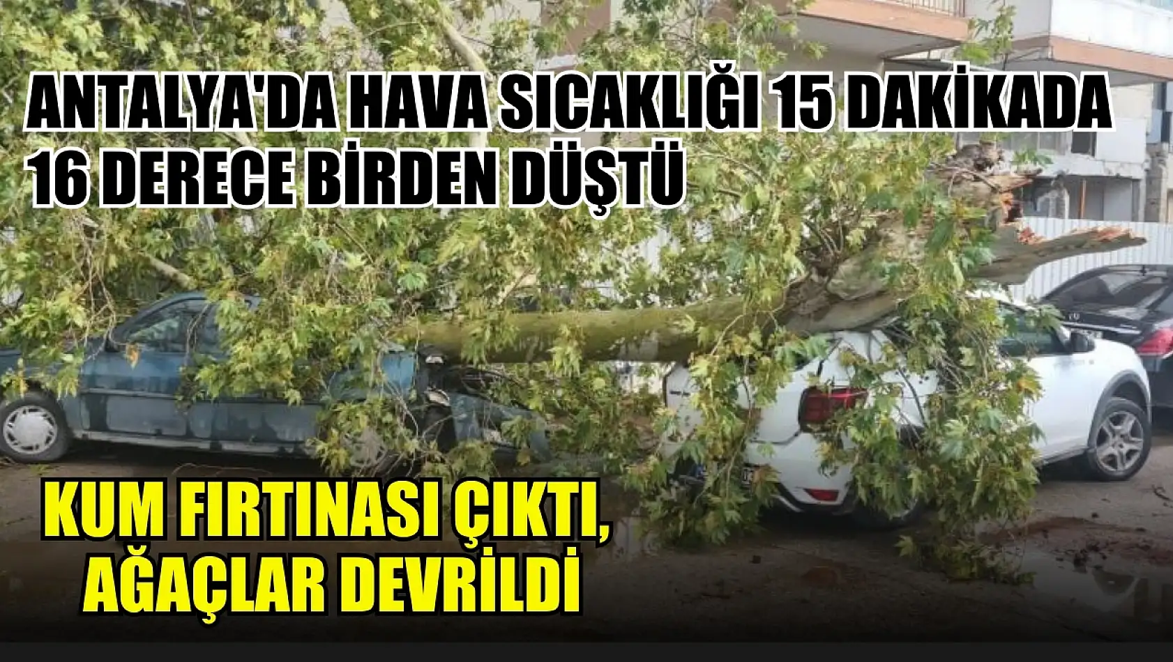 Antalya'da hava sıcaklığı 15 dakikada 16 derece birden düştü, kum fırtınası çıktı, ağaçlar devrildi