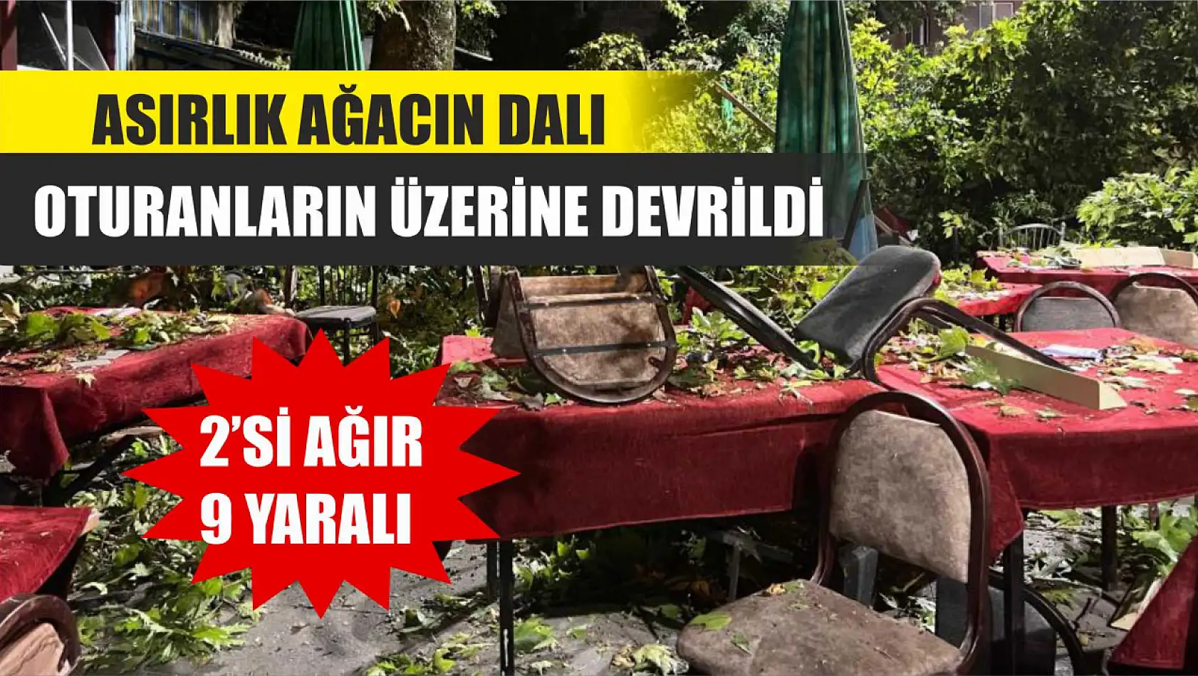 Asırlık ağacın dalı kıraathanede oturanların üzerine devrildi: 2'si ağır 9 yaralı