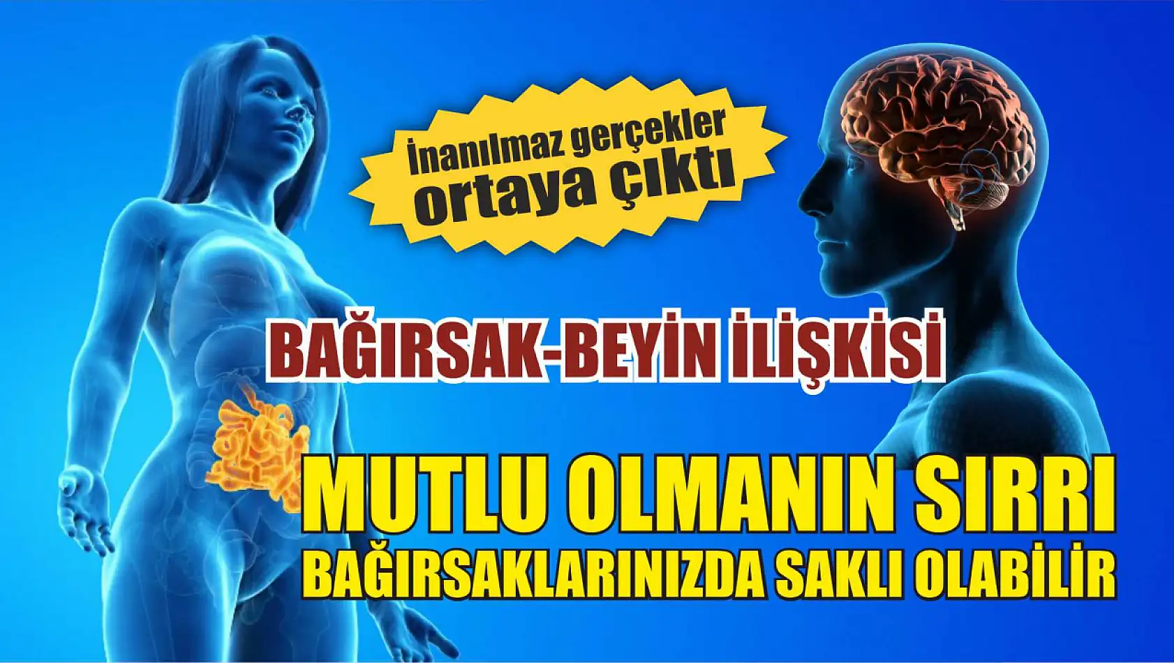 Bağırsak-Beyin İlişkisi: İnanılmaz Gerçekler Ortaya Çıktı