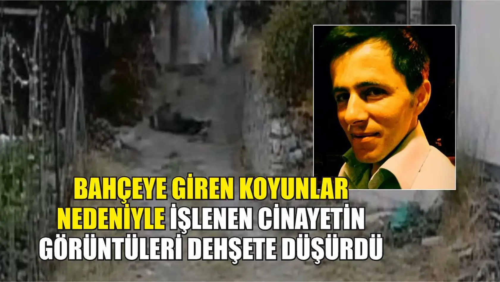 Bahçeye giren koyunlar nedeniyle işlenen cinayetin görüntüleri dehşete düşürdü